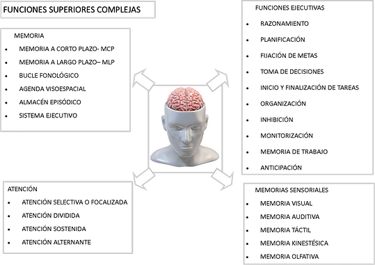 funciones superiores complejas